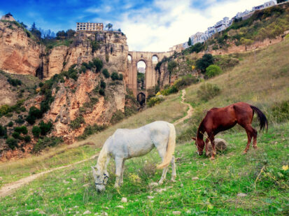 Das berühmte kleine Städtchen Ronda, ist bekannt für die atemberaubende Schlucht die sich unter der beeindruckende Puente Nuevo ("die neue Brücke") spannt. Im Vordergrund der Brücke und der Schlucht, grasen zwei Pferde auf der Wiese.